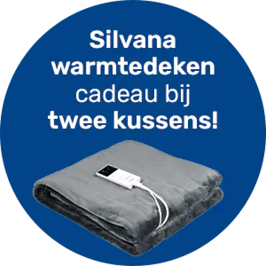 Silvana actie image