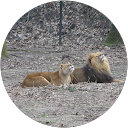 Tom Dubbelman profielfoto